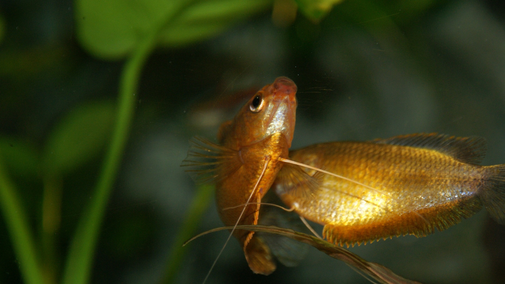 photo44