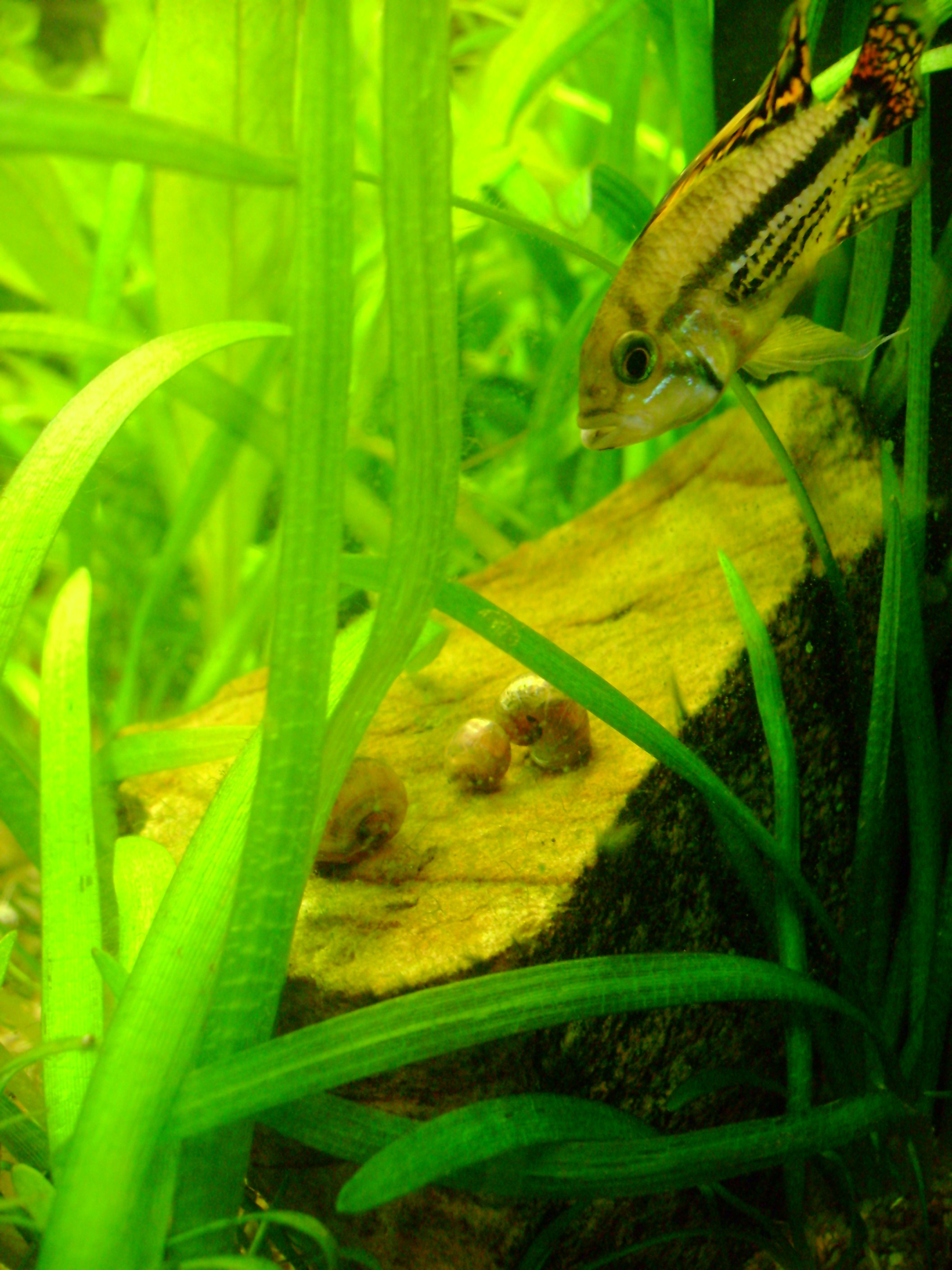 photo46