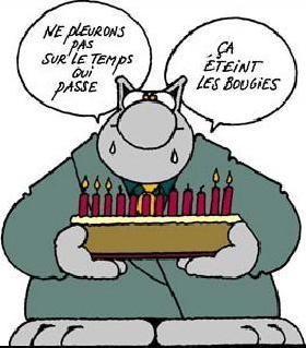 Photo Anniversaire Le Chat De L Album Anniv Fete