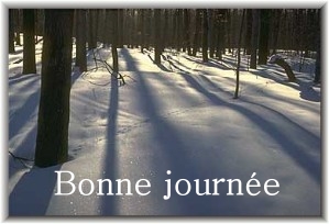 Bonne journée (jeudi 7 janvier) 100103085240148915174825