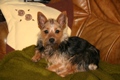 avril_2007 003