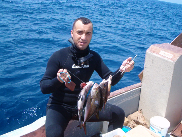 Photo 002