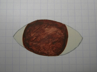 PEINTURE : Peindre les yeux 100108094235773685211644