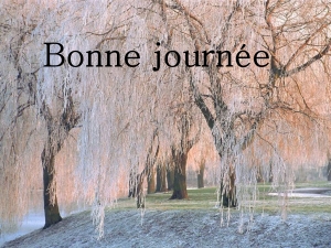 Bonne journée (samedi 16 janvier) 100110065345148915224381