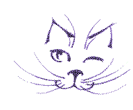 chat00022