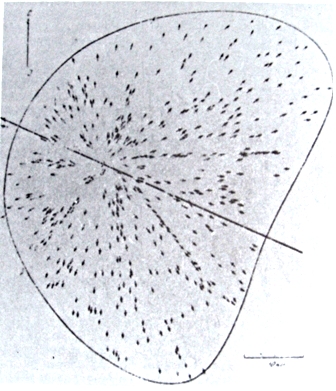 (1976) Les ovnis en U.R.S.S et dans les pays de l'est par Ion Hobana et Julien Weverbergh - Page 2 100114052310927775246744