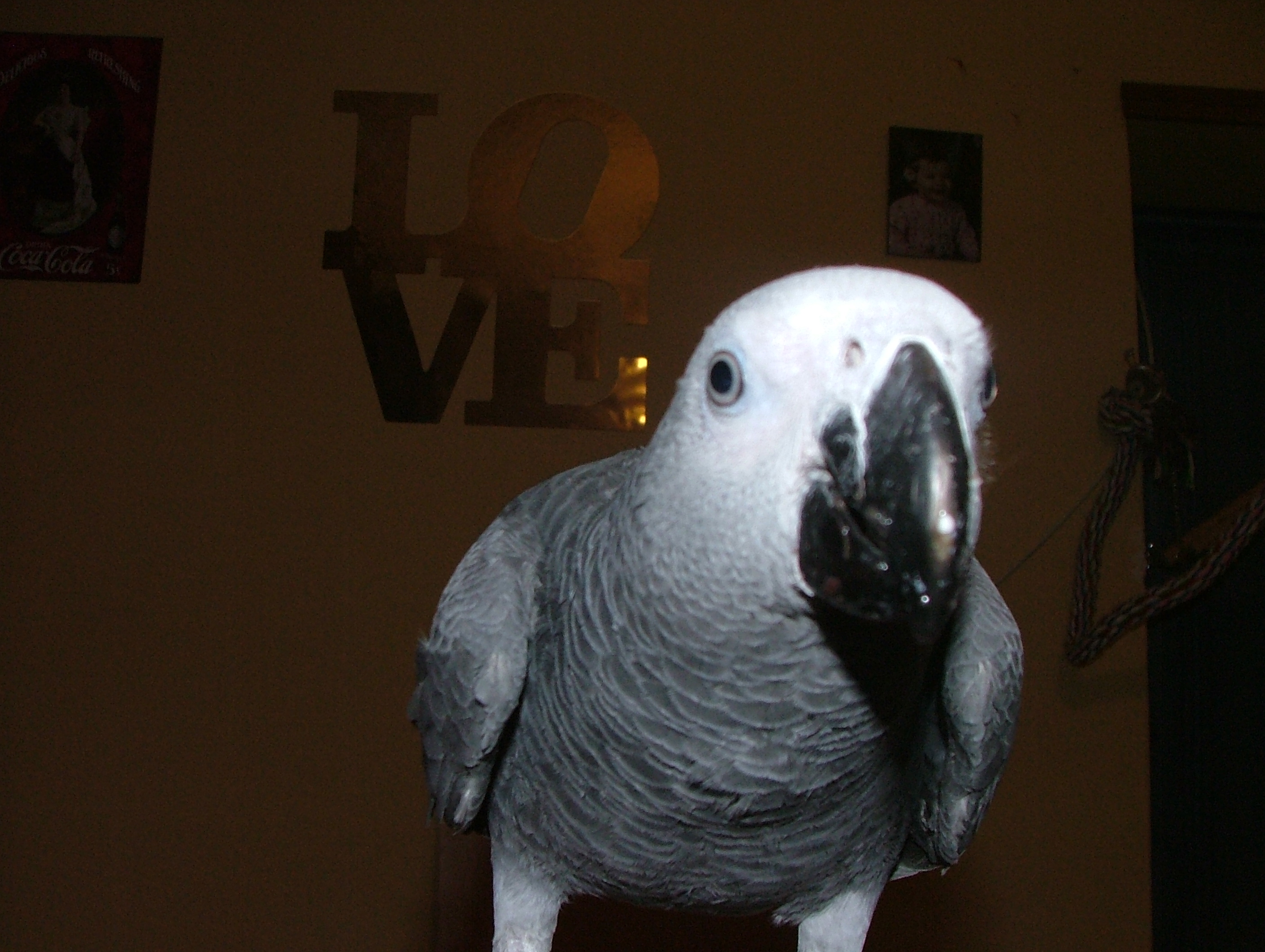 apareil photo 