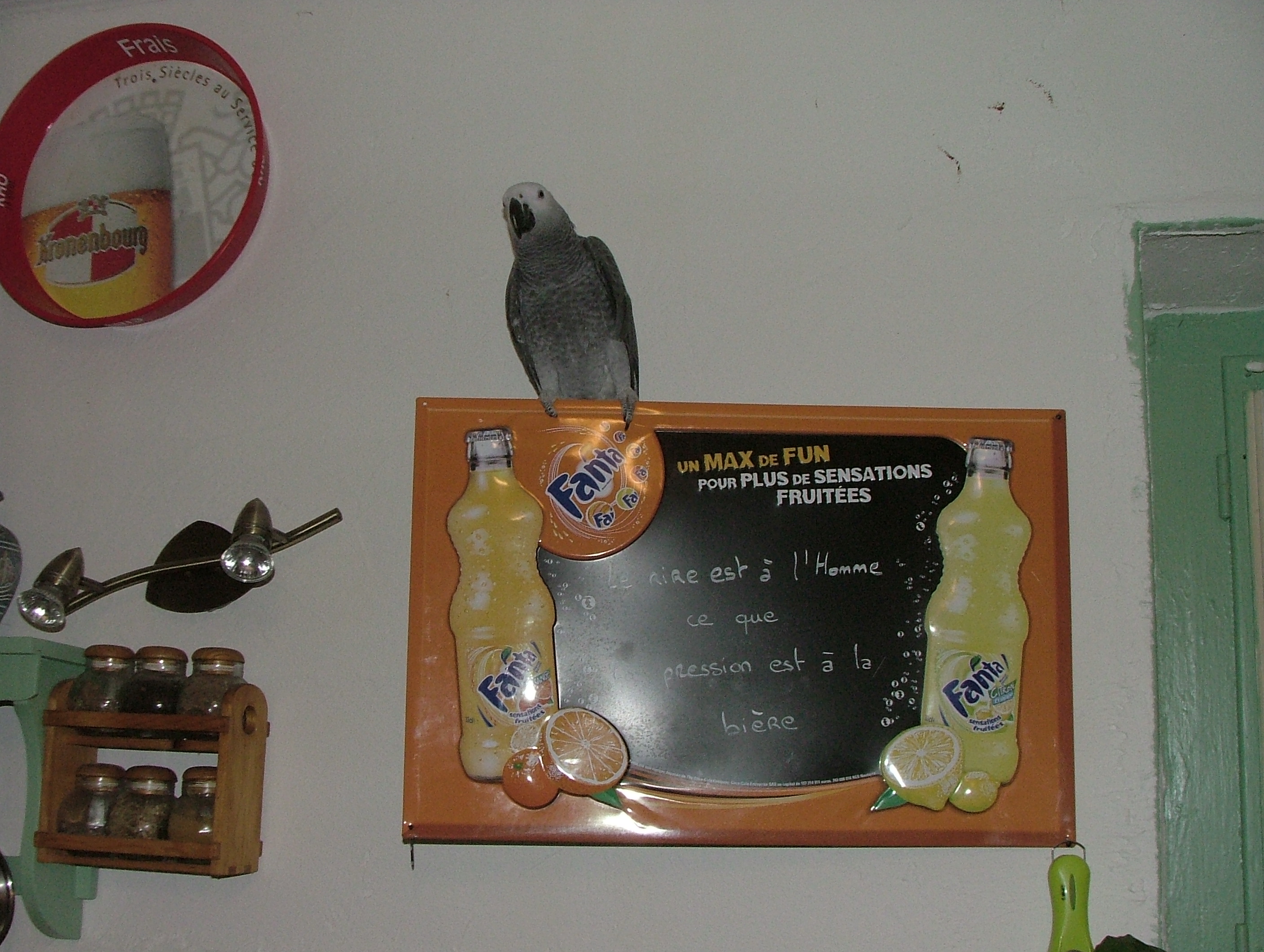 dans la cuisine