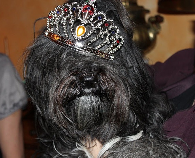 Bibi couronne