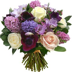 jacinthe_anemone_bis_250