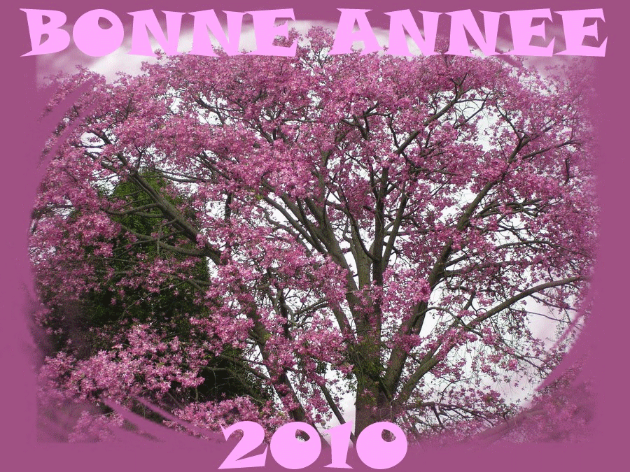 BONNE ANNEE 2010
