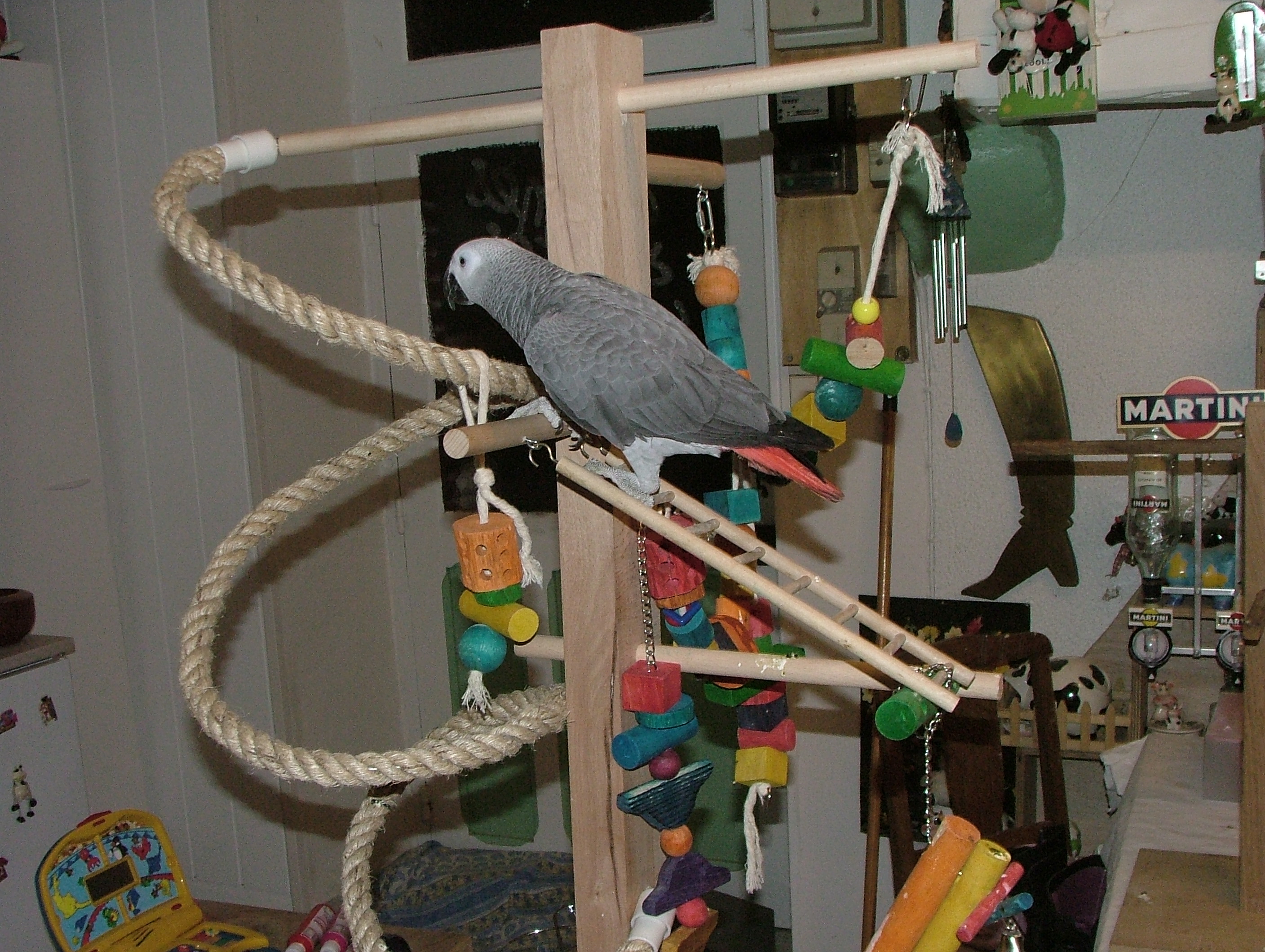 echelle
