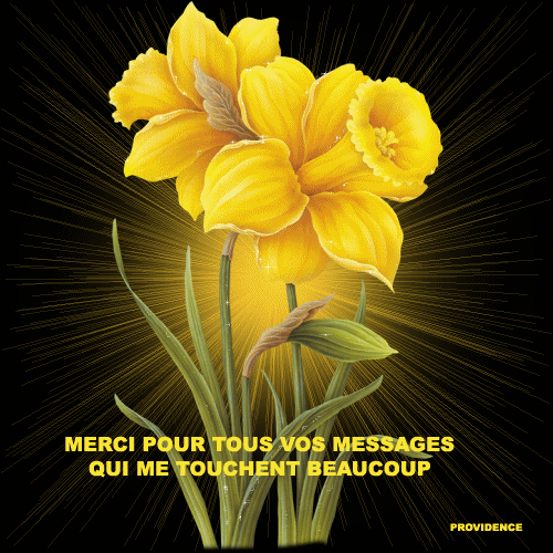 PRIERE pour notre Frère GILLES - Page 2 100129060412401125337416