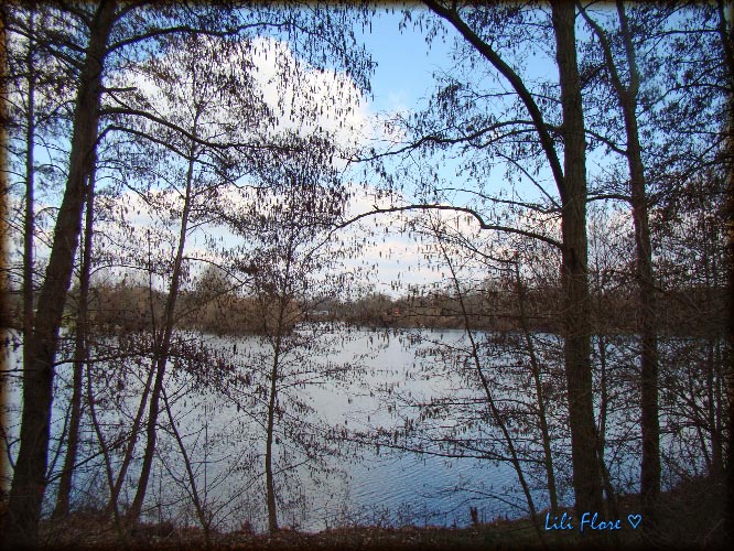 Image hébergée par Casimages.com : votre hébergeur d images simple et gratuit