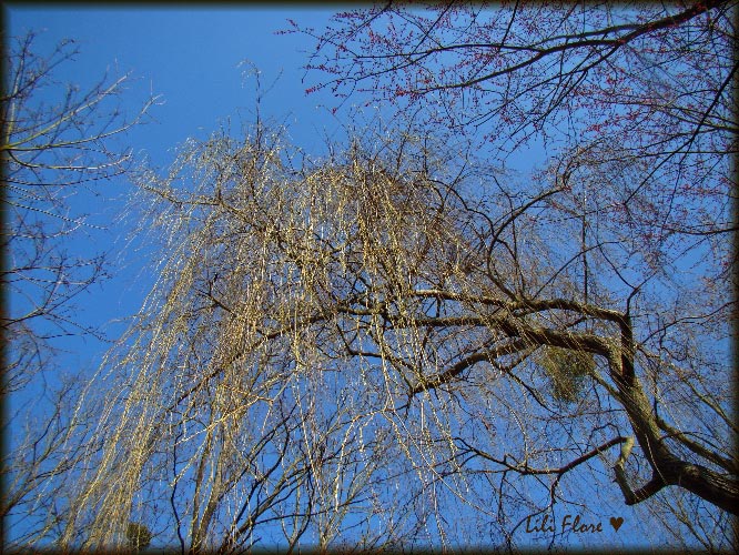 Image hébergée par Casimages.com : votre hébergeur d images simple et gratuit