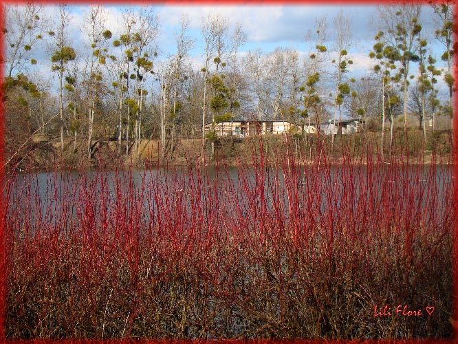 Image hébergée par Casimages.com : votre hébergeur d images simple et gratuit