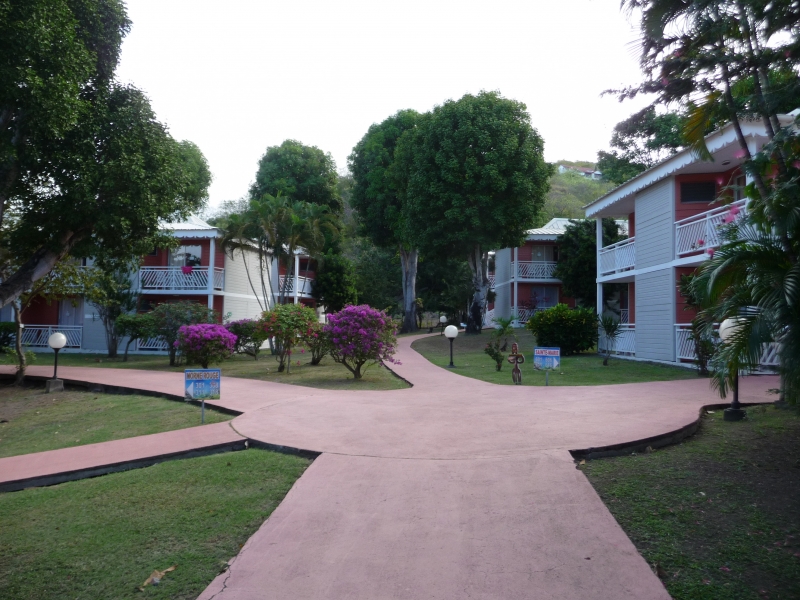 P1030520