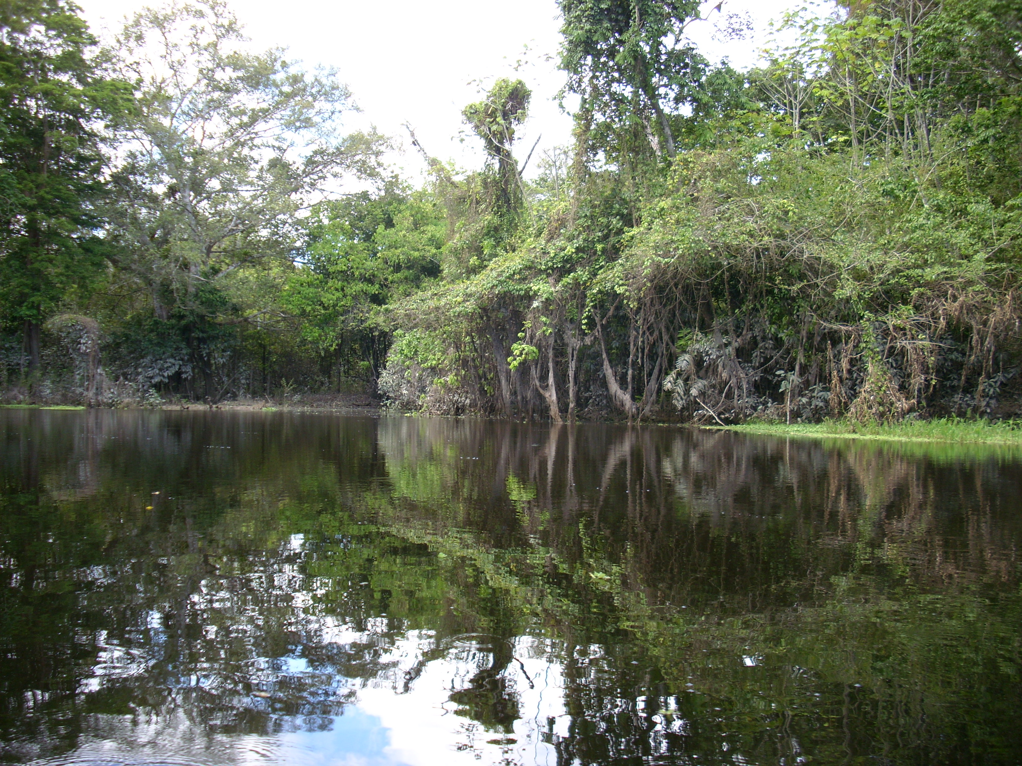 Voyage au p&eacute;rou (201)
