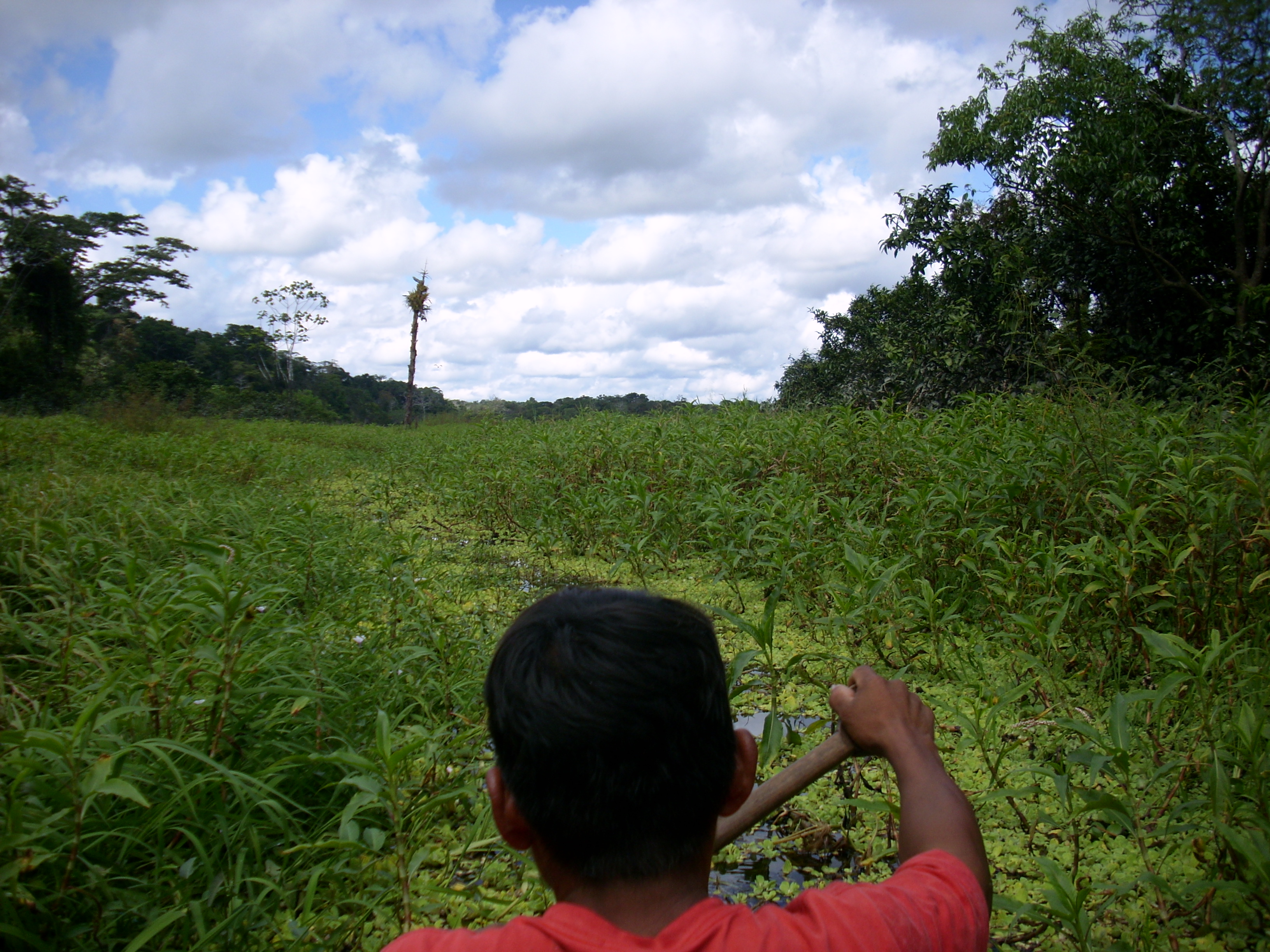 Voyage au p&eacute;rou (206)