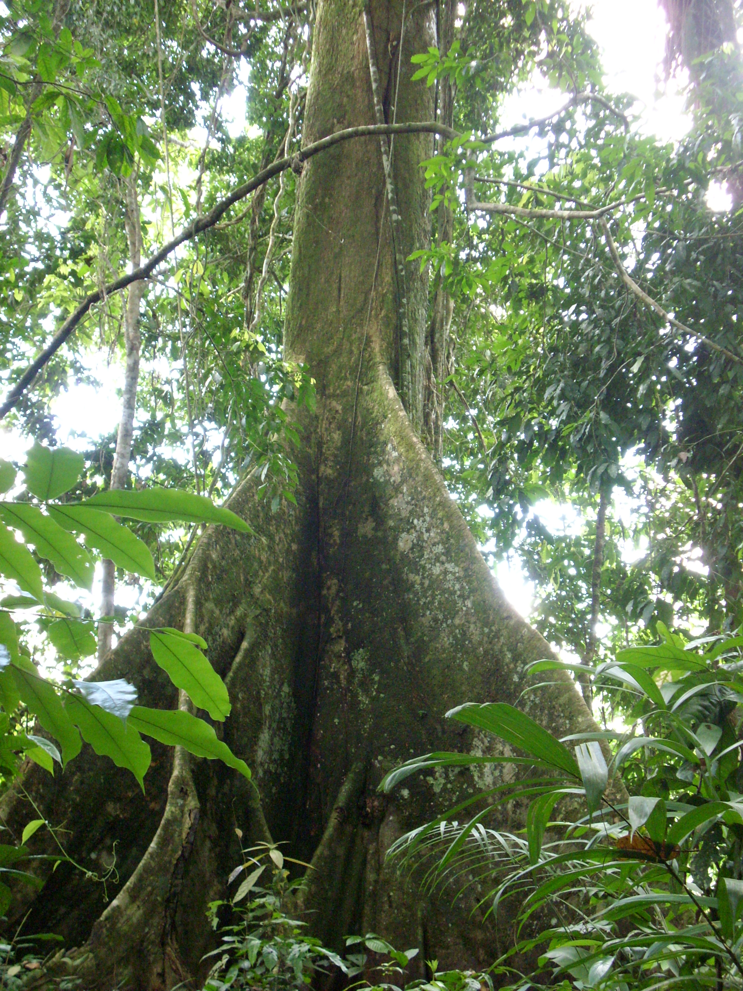 Voyage au p&eacute;rou (212)