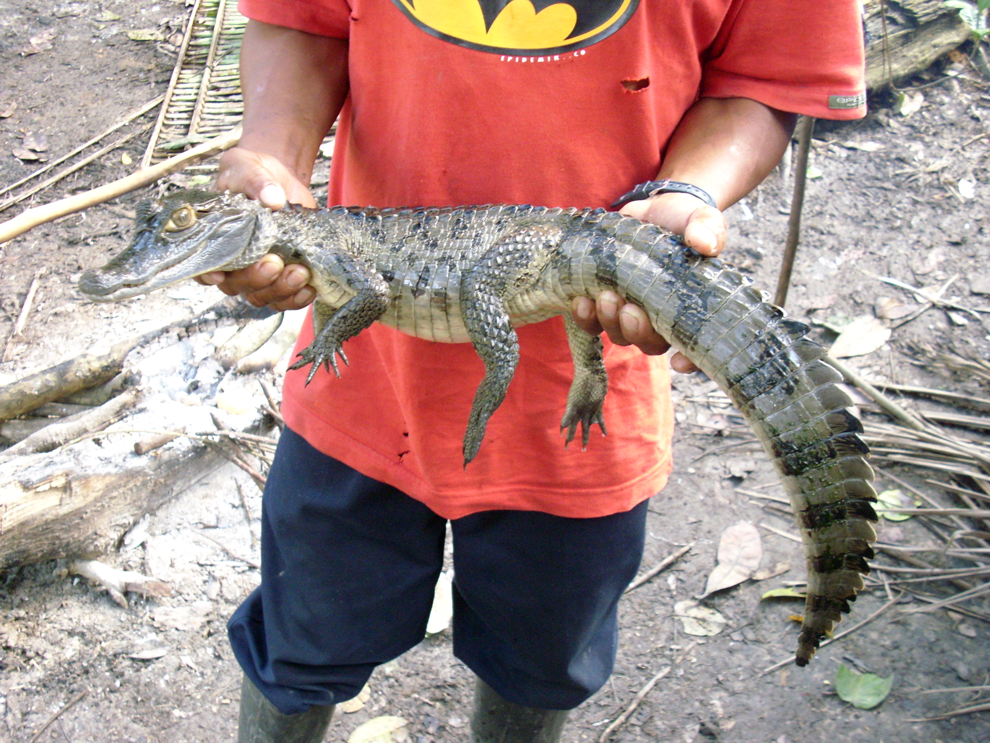 Voyage au p&eacute;rou (245)