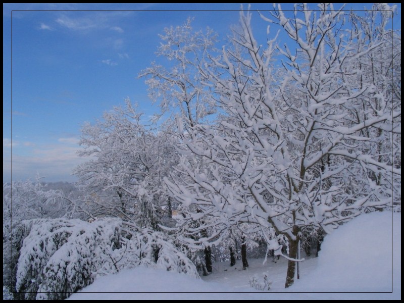jolies choses (469)